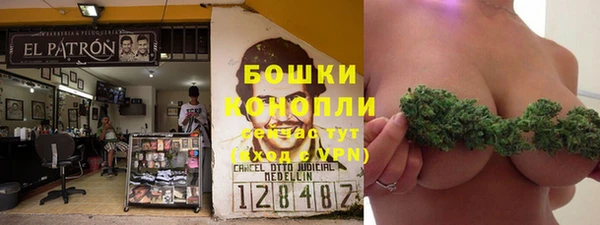эйфоретик Аркадак