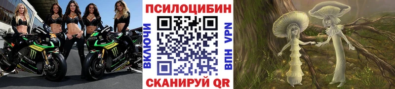 Псилоцибиновые грибы GOLDEN TEACHER Ленск